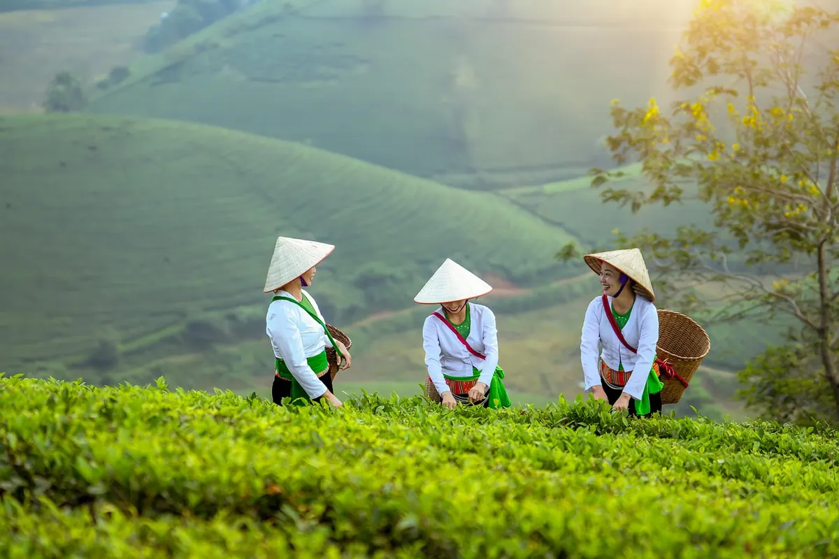 How to Host a Seasonal Tea Tasting: A Step-by-Step Checklist